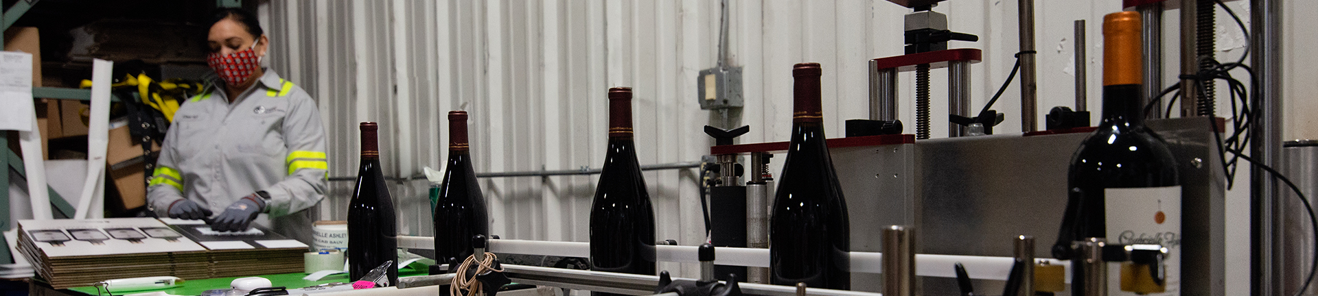 wine bottles on a conveyor belt
